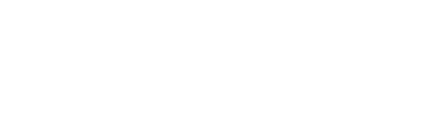 portfolio dresply brand 05